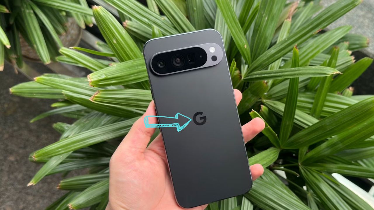 Pixel