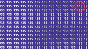 optical illusion