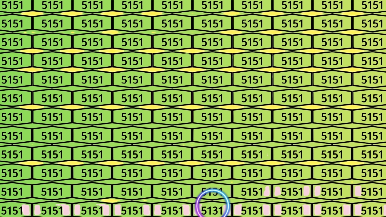 Hidden Number 5131