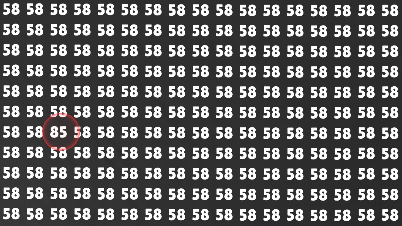 Hidden Number 85