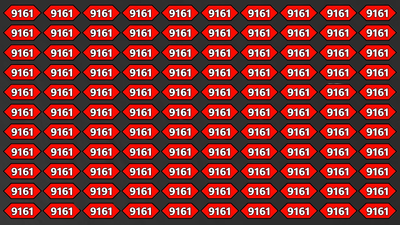 Hidden Number 9191