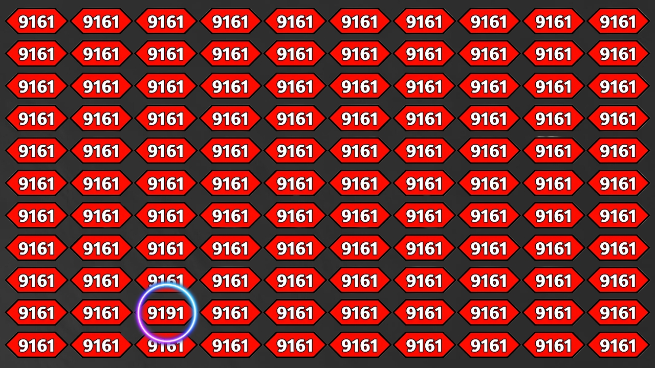 Hidden Number 9191