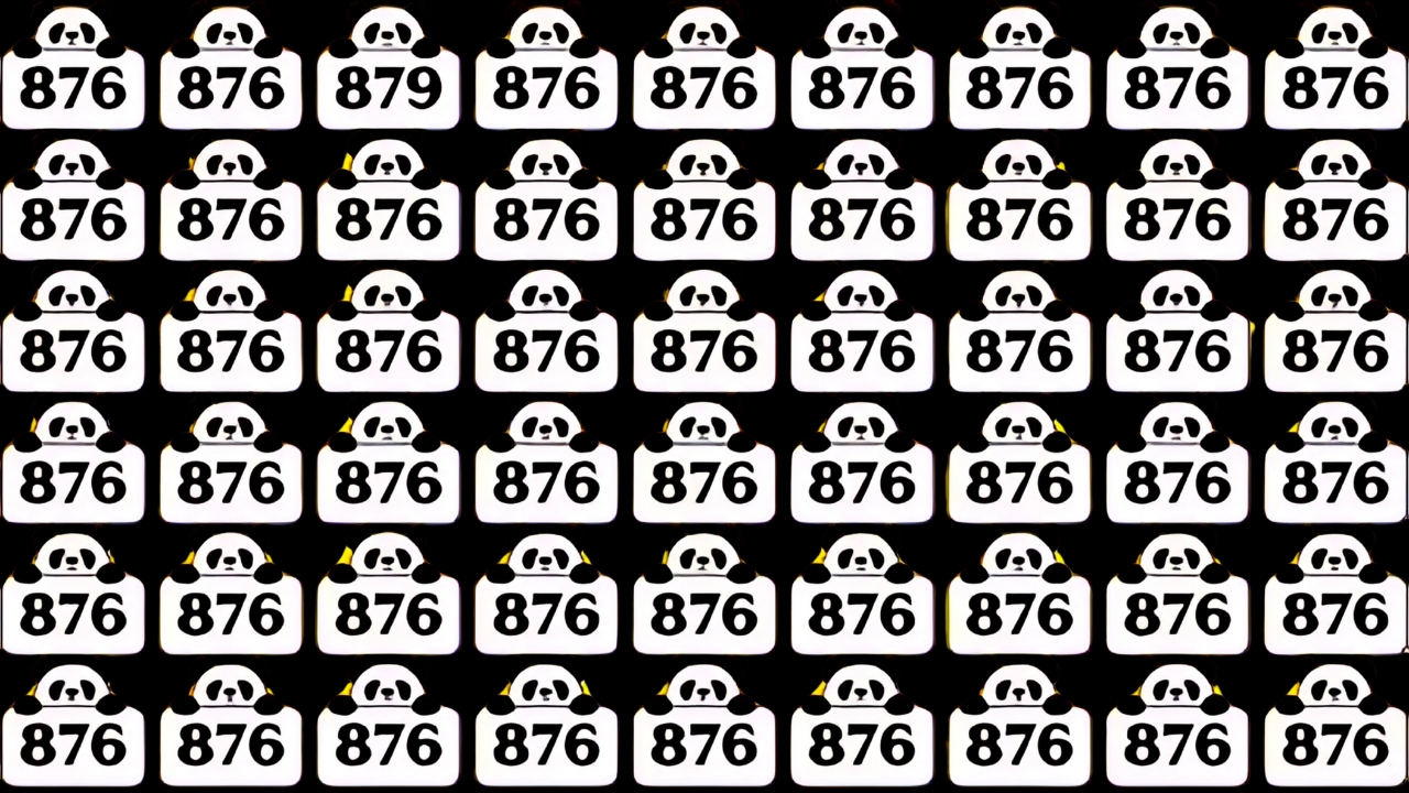 Hidden Number 879