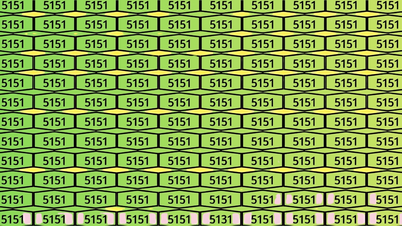 Hidden Number 5131