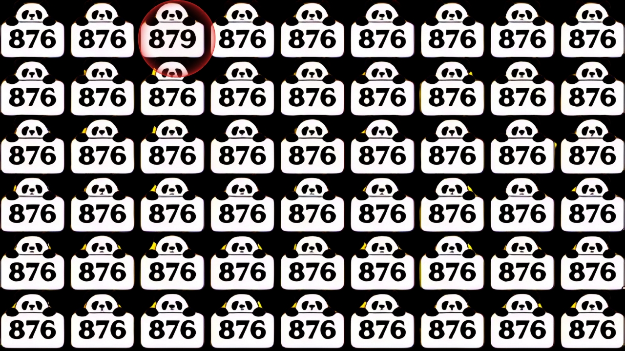 Hidden Number 879