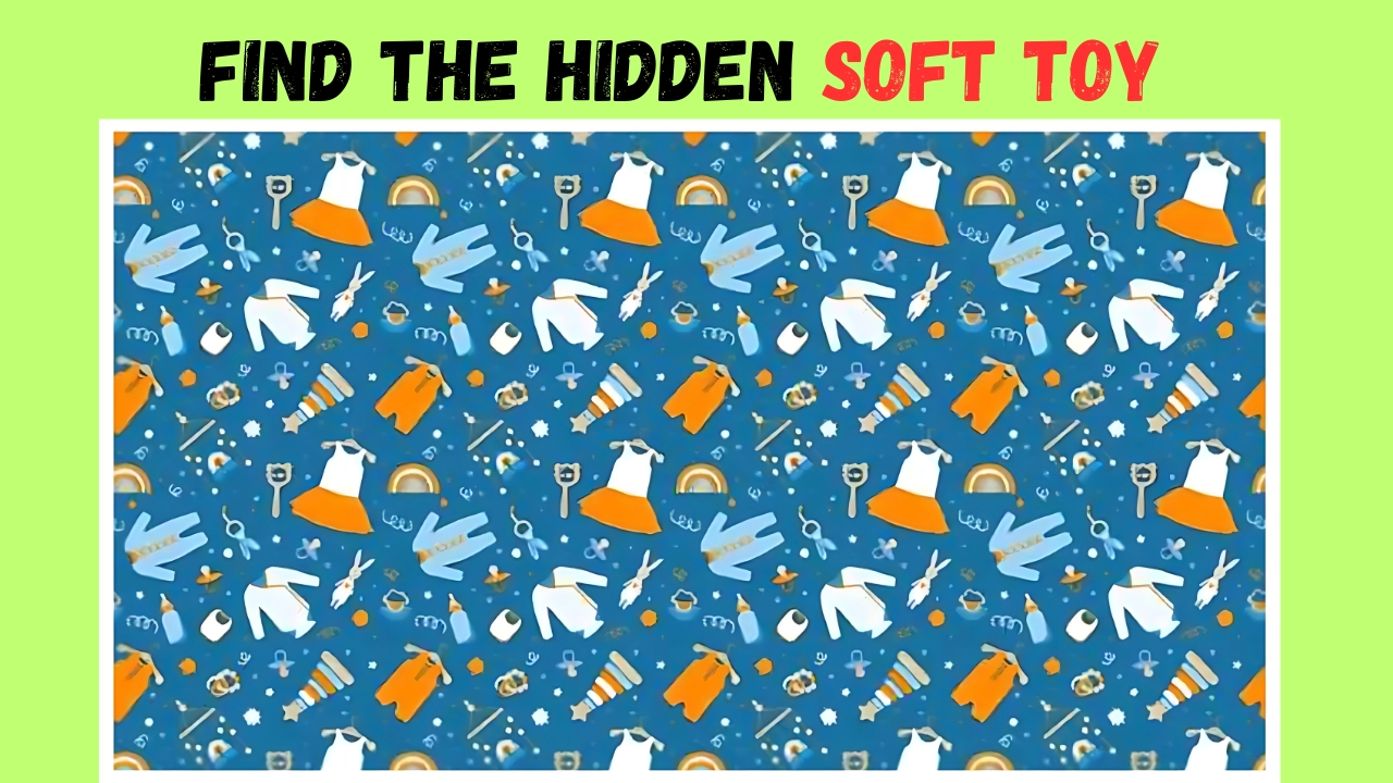 Hidden Soft Toy