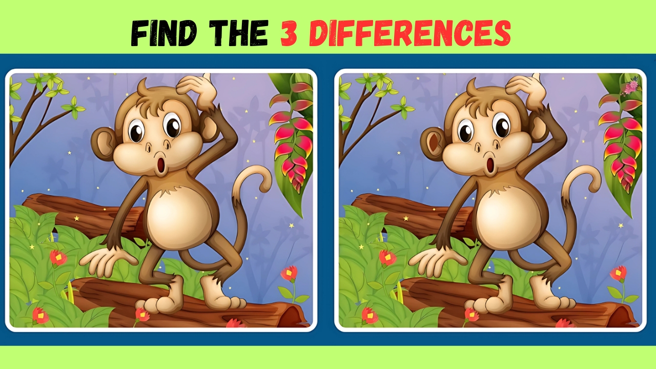 Monkey Challenge