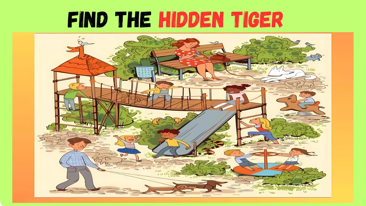 Hidden Tiger